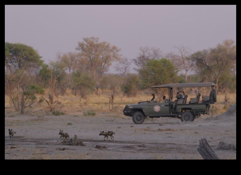 Off-the-Grid Living: Sustainable Practices in SUV Adventures