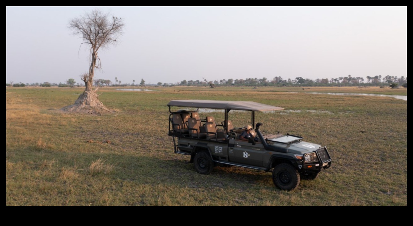 Off-the-Grid Living: Sustainable Practices in SUV Adventures