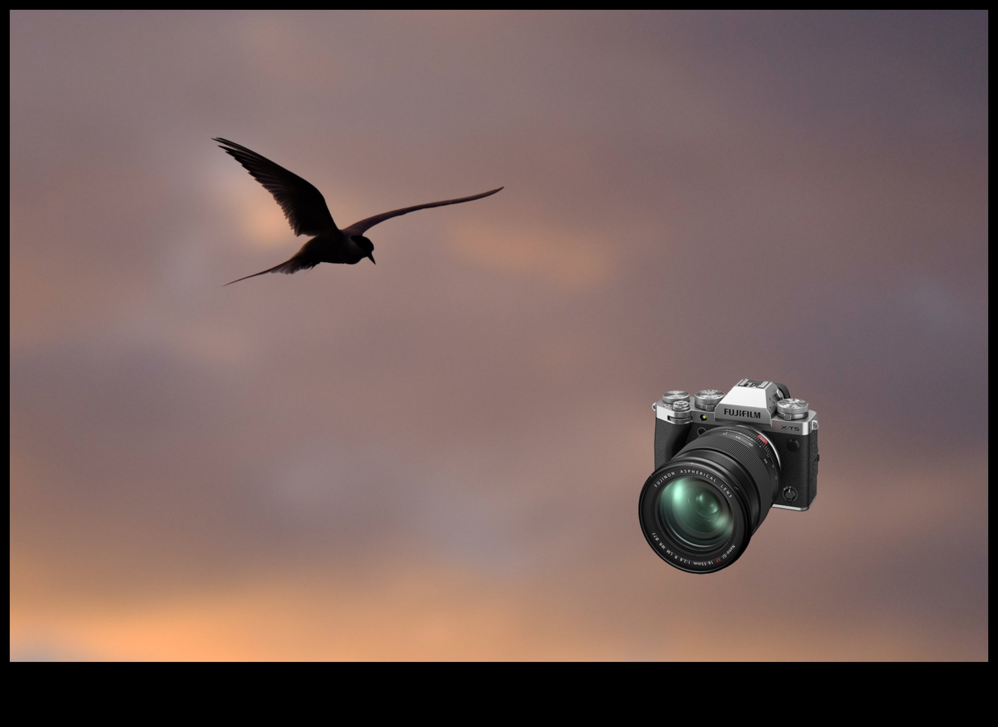 Beyond Autofocus: Mastering Manual Focus for Artistic Photography