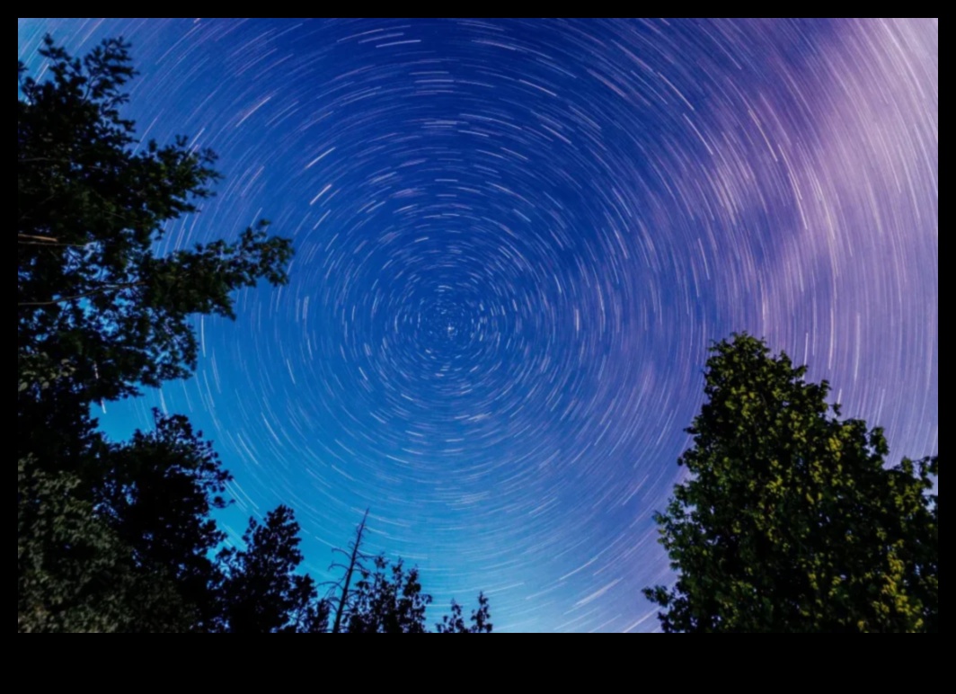 Long Exposure Legends: Cameras for Capturing Light Trails and Star Trails