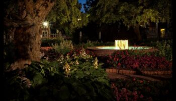 Summer Garden Party: Crafting for Outdoor Celebrations