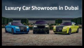 Riding in Opulence: Personal Stories from Luxury Vehicle Aficionados