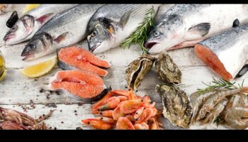 Μαγειρικές χειροτεχνίες με φρέσκα θαλασσινά: Δημιουργία παράκτιων απολαύσεων