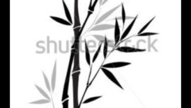 The Beauty of Ink: Δημιουργία κομψών και διαχρονικών σχεδίων