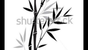 The Beauty of Ink: Δημιουργία κομψών και διαχρονικών σχεδίων